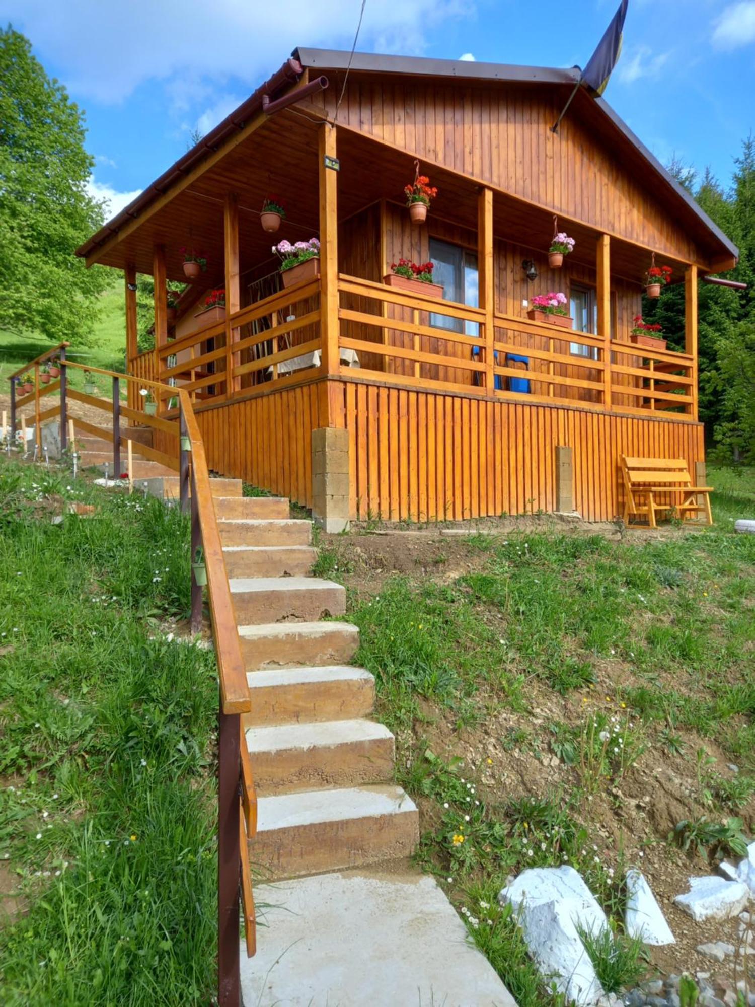 Bed and Breakfast Casa Geanina Колібіца Екстер'єр фото
