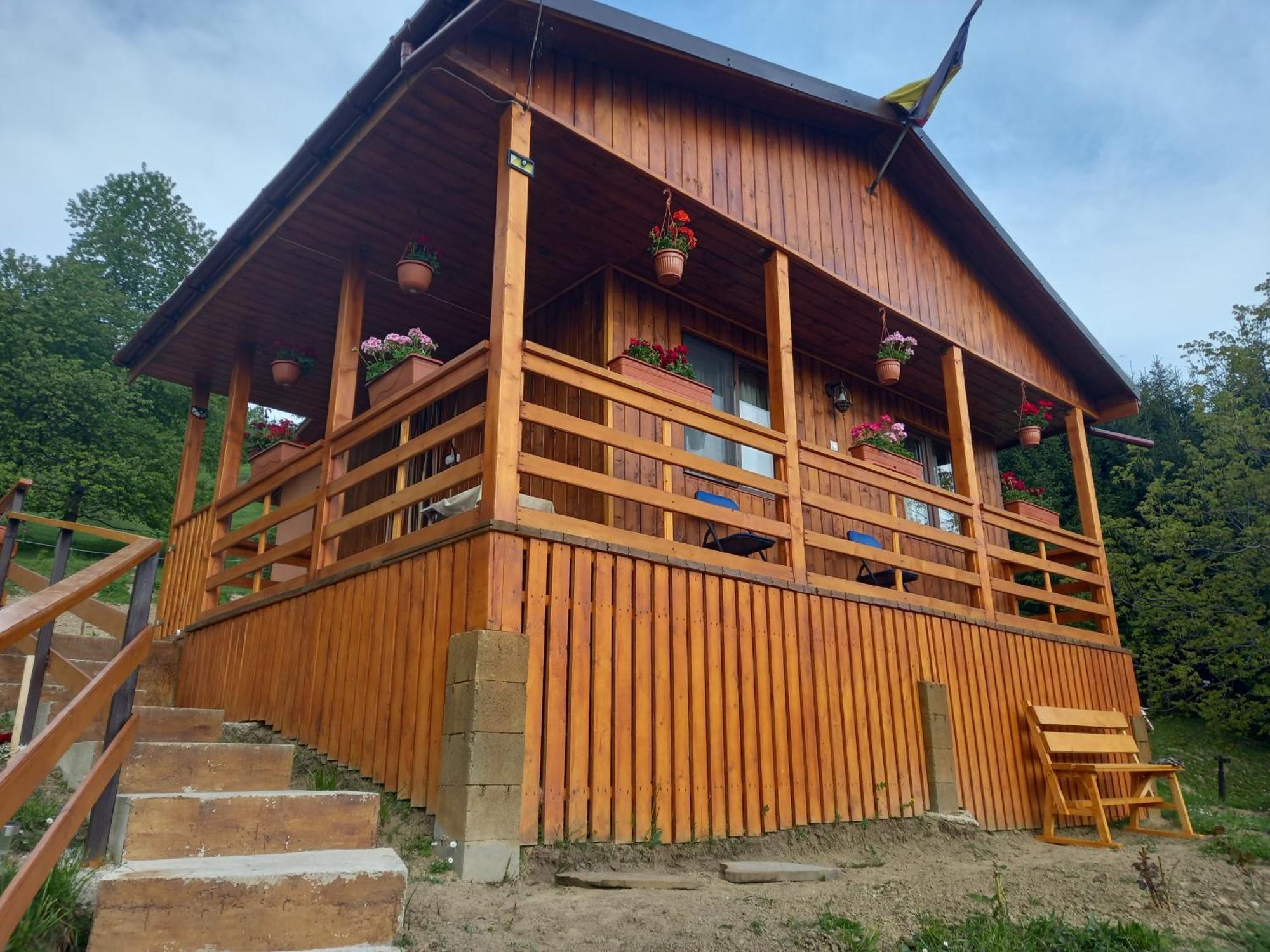Bed and Breakfast Casa Geanina Колібіца Екстер'єр фото