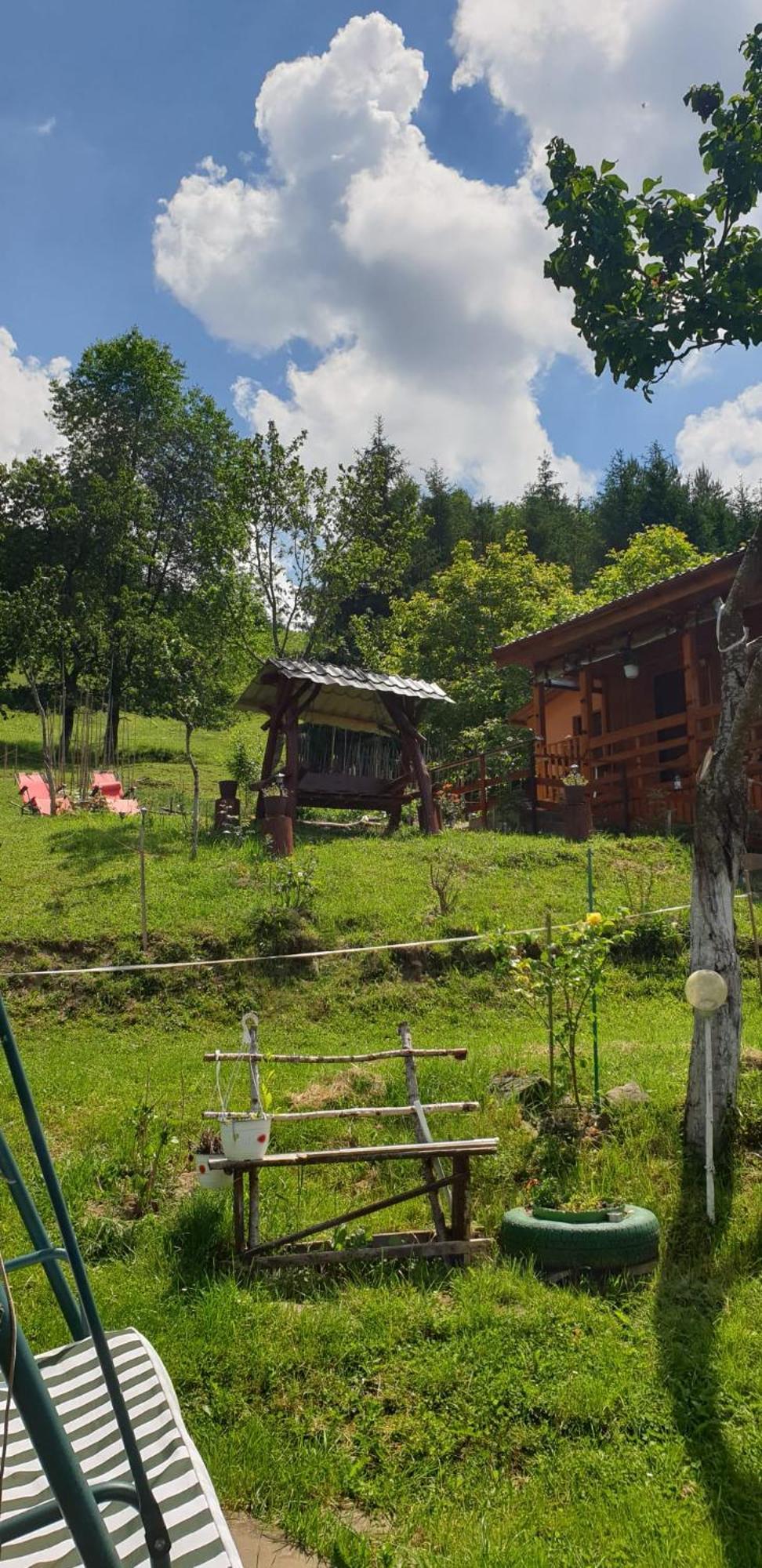 Bed and Breakfast Casa Geanina Колібіца Екстер'єр фото